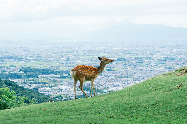 京都